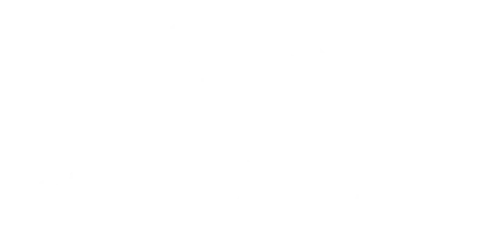 Roadmap